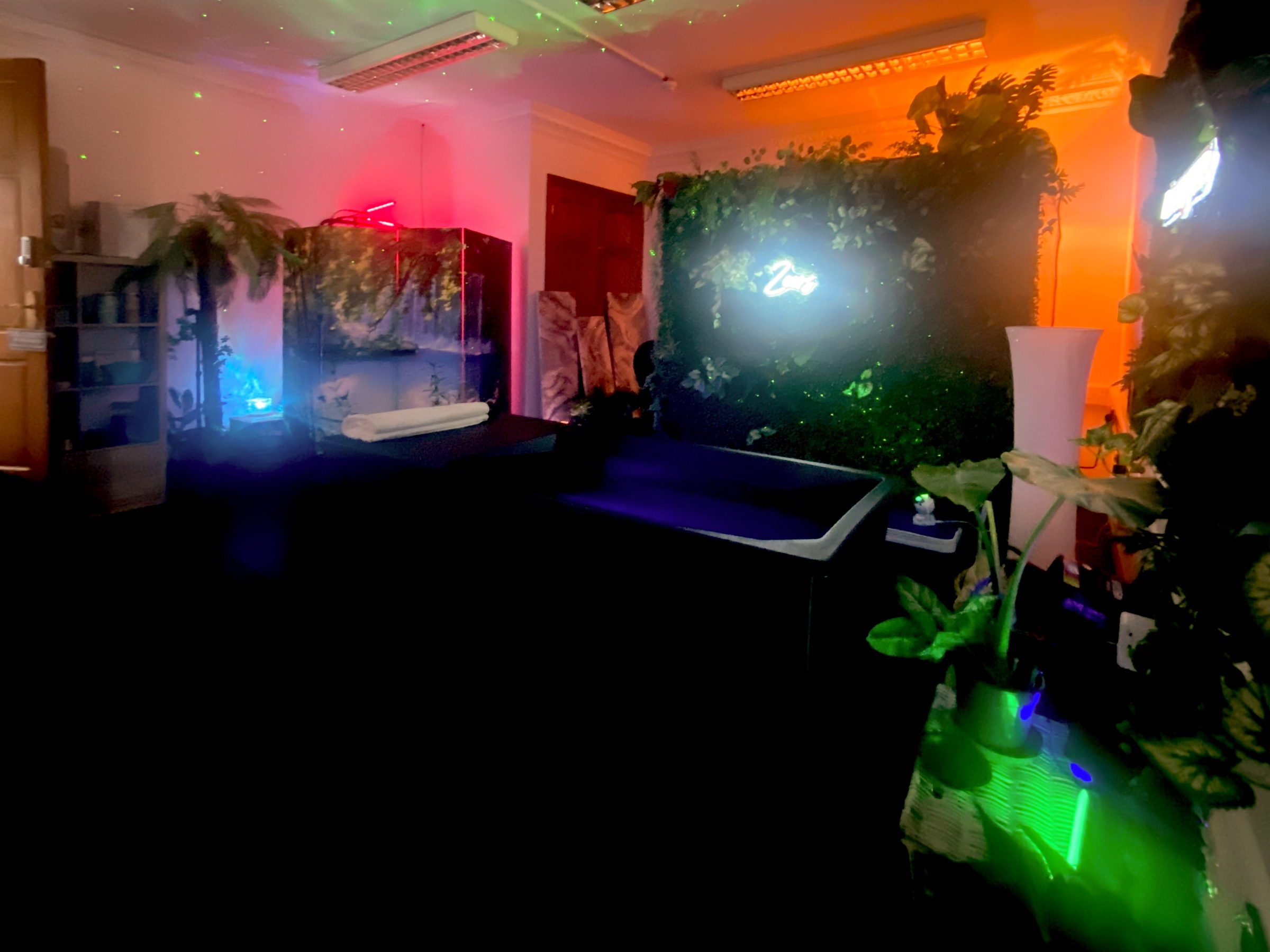 Infrared Sauna Session with Ice Bath Experience or Coaching and More