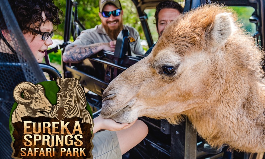Image 2: Guided Safari Tours w/ Wildlife Adventures in Eagle Rock, MO