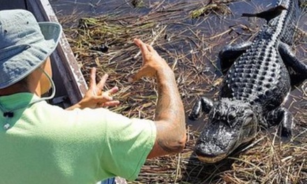 Miami Highlights exploring tour for 1 (3 hrs) - Sunny Miami Tours