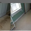 Image 2: Carpet and Area Rug Cleaning Packages