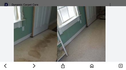 Carpet Cleaning for Three Rooms Up to 600 Square Feet Total with Scotchguard Protection - Saddleback Valley Clean-Dry