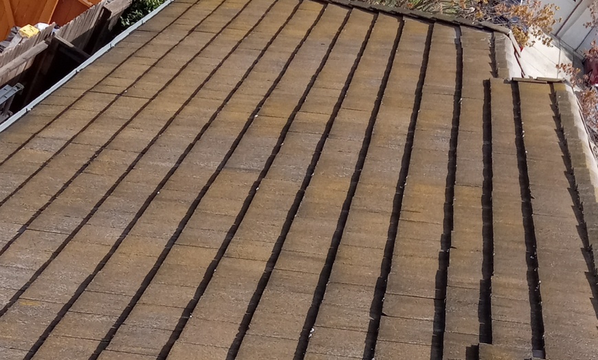 Image 4: Experience Bear Clean Service's roof washing for homes up to 2100 sq ft with a fantastic offer of up to 34% off