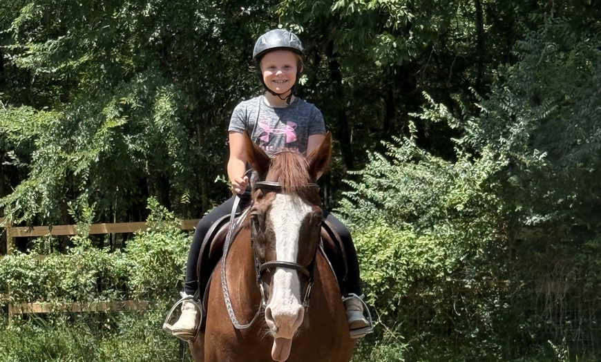 Image 4: Try Horseback Riding with a 30-Minute Intro Lesson