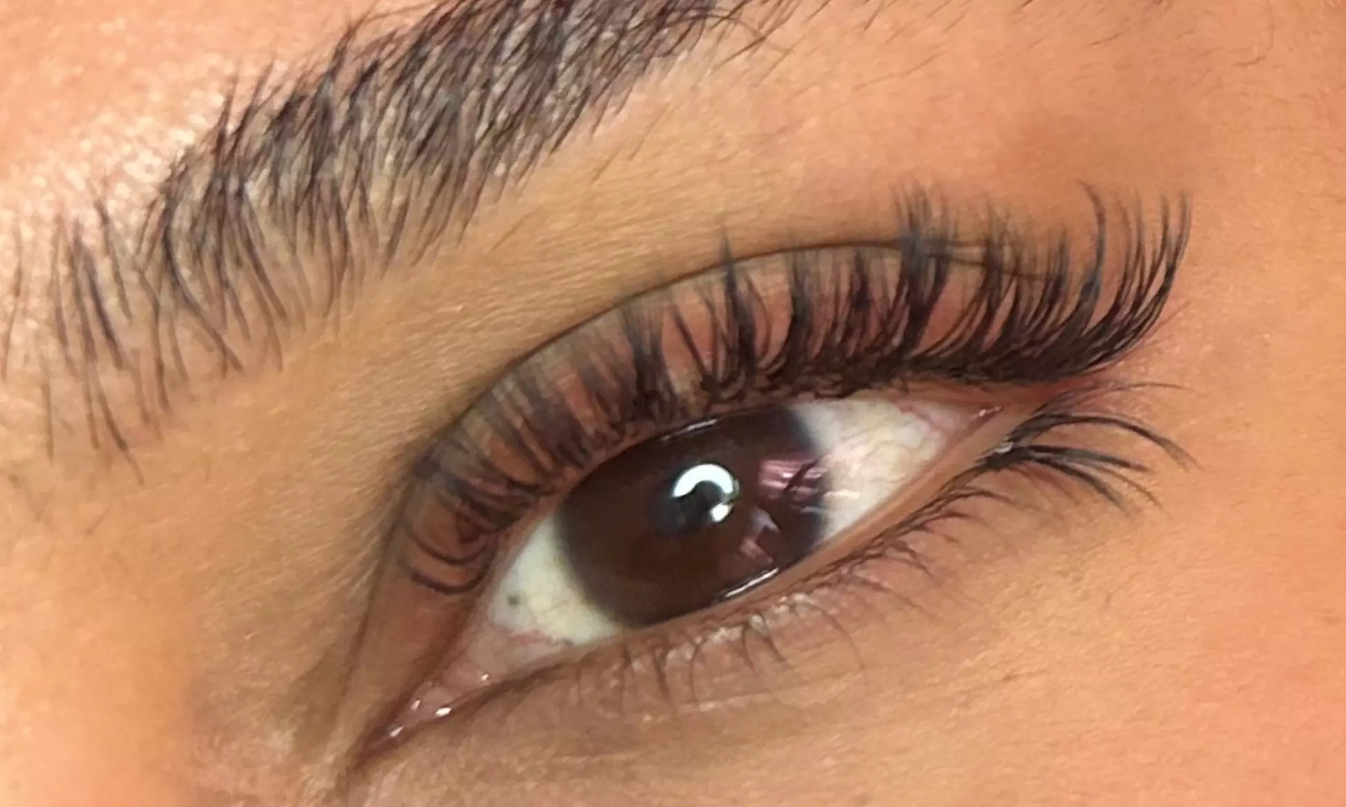 Get Wispy Galore Lash Set or Custom Brow Tint w/ Shaping and Concealer