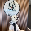 Image 2: Up to 20% Off on Pet Grooming at Pelitos Pet Grooming