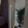 Image 4: 90-Minute Hot Stone Massage with Choice of Foot or Scalp Treatment