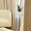 Image 8: Brows, Lip & Chin Wax; Half Arm, Half Leg, Hands, Fingers Wax & More