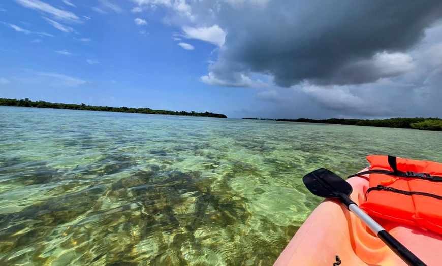 Image 13: Guided Kayak or SUP Eco-Tour – Geiger Key, Key West