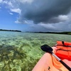 Image 13: Guided Kayak or SUP Eco-Tour – Geiger Key, Key West