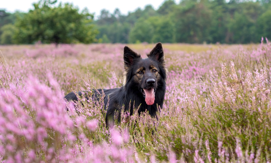 Image 4: Tot 50% korting op  bij Captures by Kayleigh