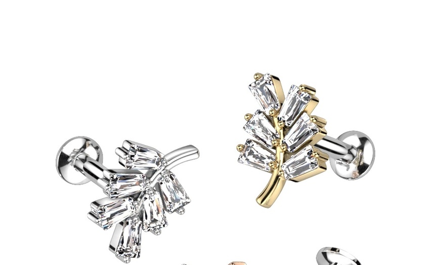 Image 4: Ear and Nose Piercing Services with Titanium or Gold Options