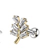 Image 4: Ear and Nose Piercing Services with Titanium or Gold Options