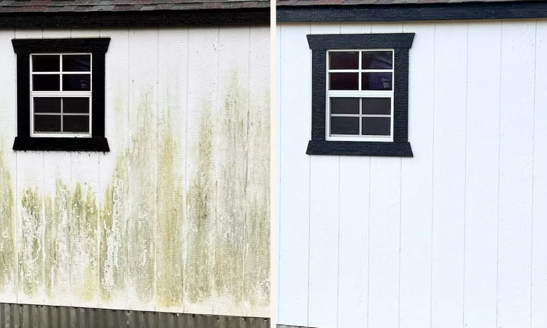 Complete Exterior Cleaning: House, Roof & Concrete (Up to 2,000 sq ft)