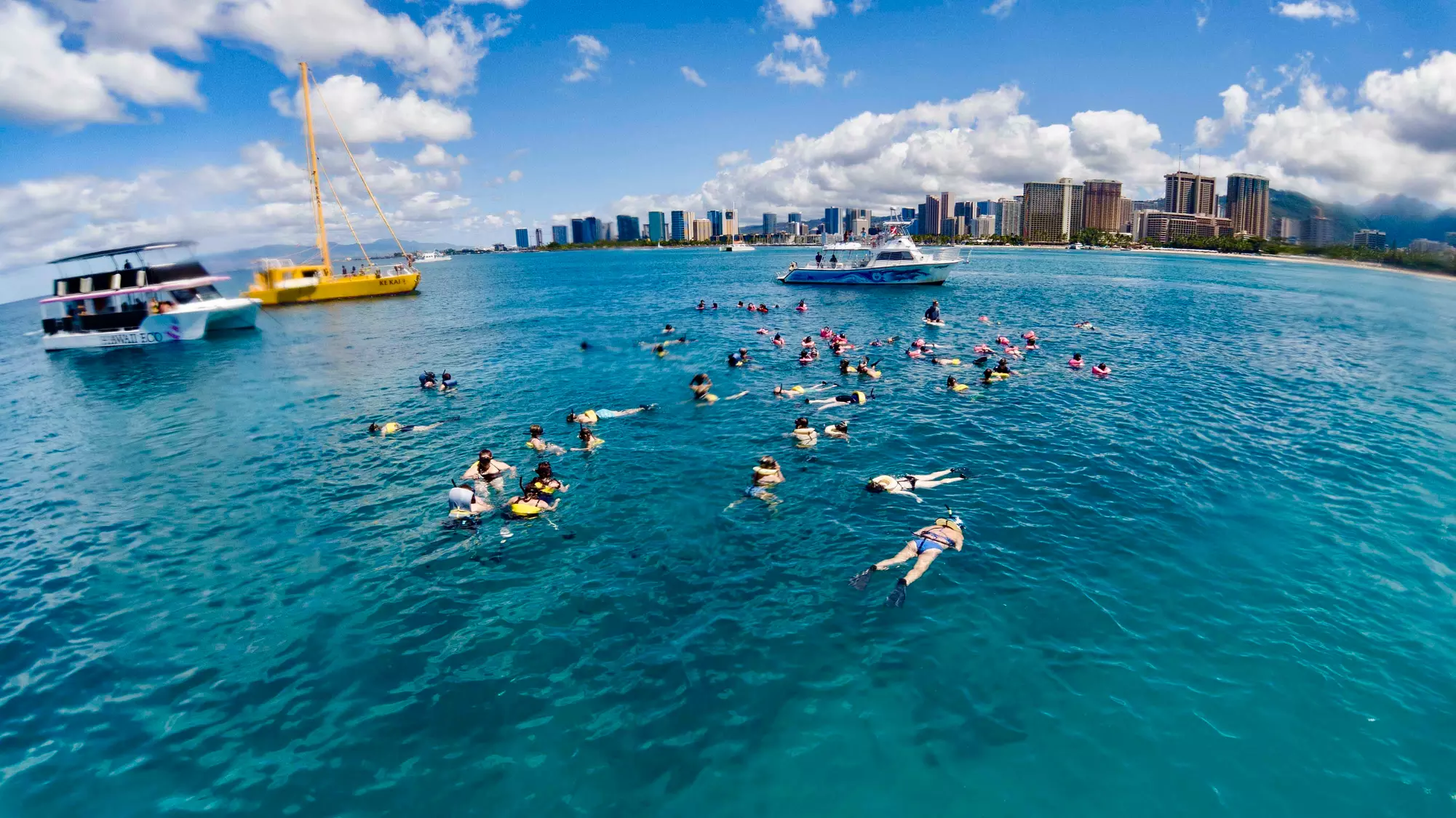 Snorkel with turtles at Turtle Canyon in Honolulu