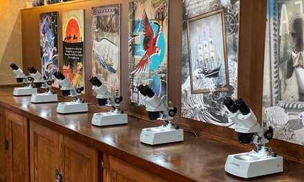 Admission for One to St. Augustine Tiny Art Museum - Medieval Torture Museum in Jacksonville, FL