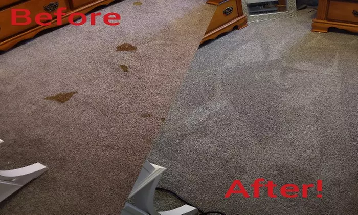 Up to 55% Off on Carpet Cleaning at Rug Wranglers