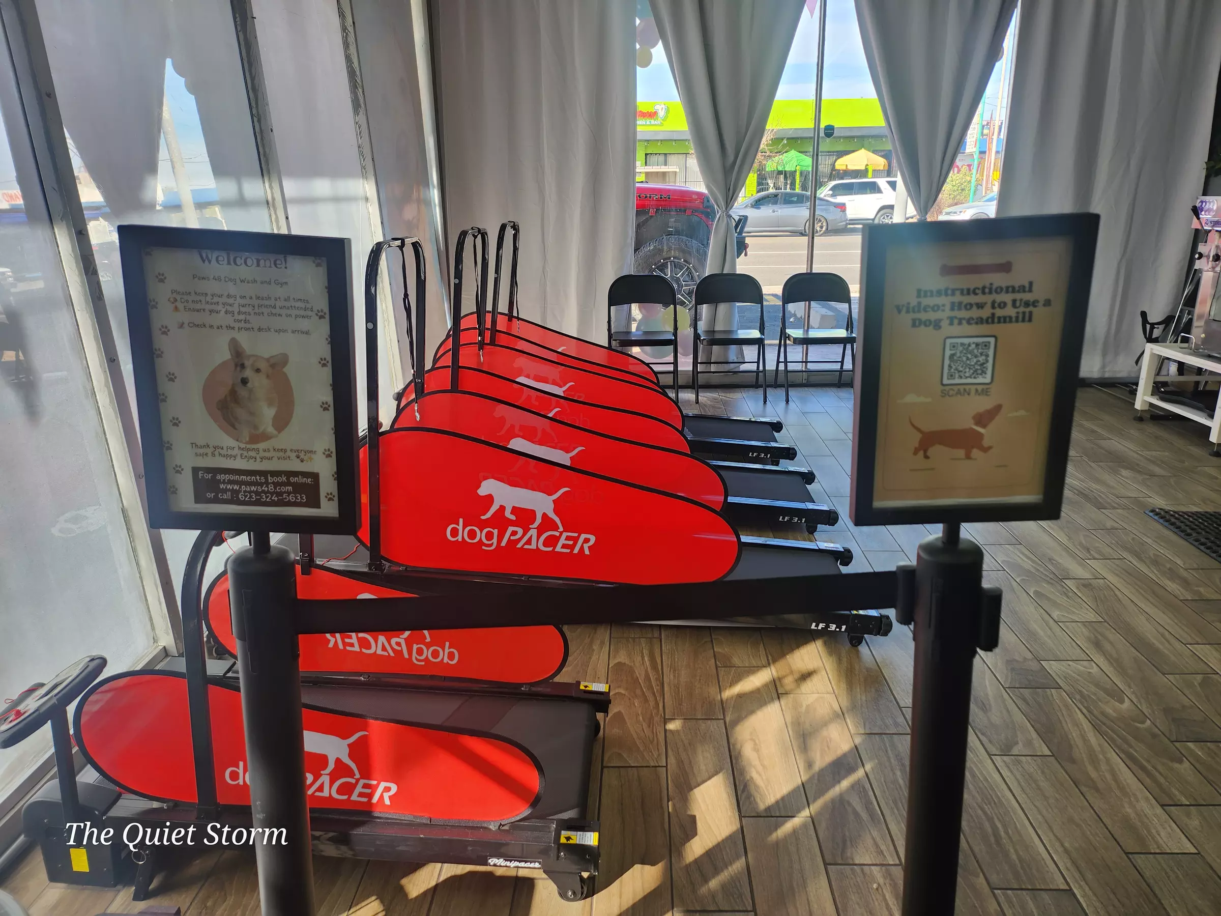 Up to 60% Off on Pet Grooming at Paws 48