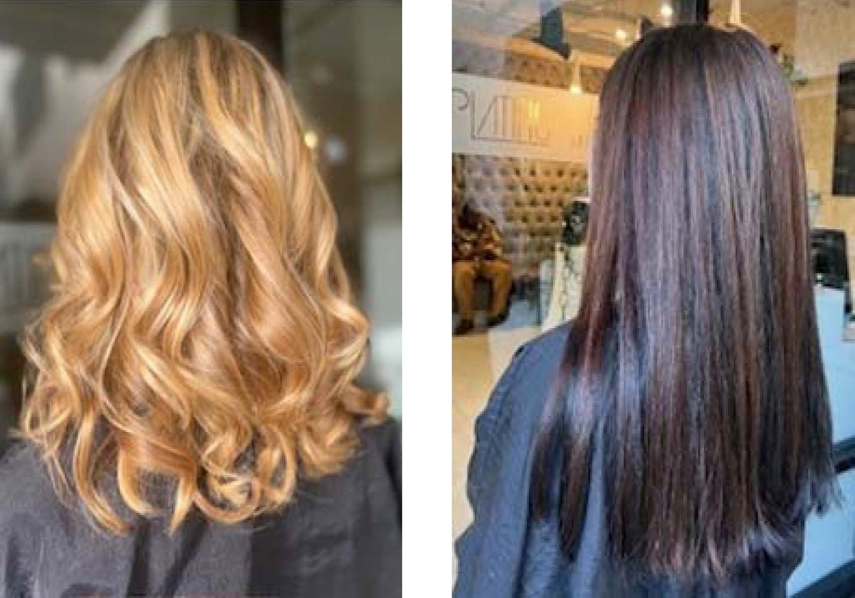 Women's Haircut and Color Options with Highlights and Blow Dry