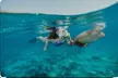 Up to 20% Off on Snorkeling at Blue Boat Tours LLC - Second Medium
