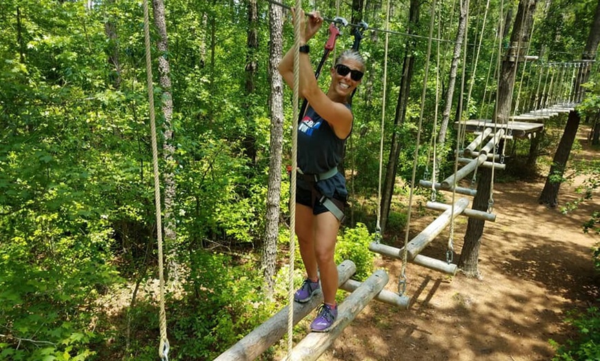 Image 4: Thrill in the Treetops: Aerial Adventure Course for 2–8 Participants
