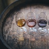 Image 3: Self-Paced Wine Foundations Course - Decatur