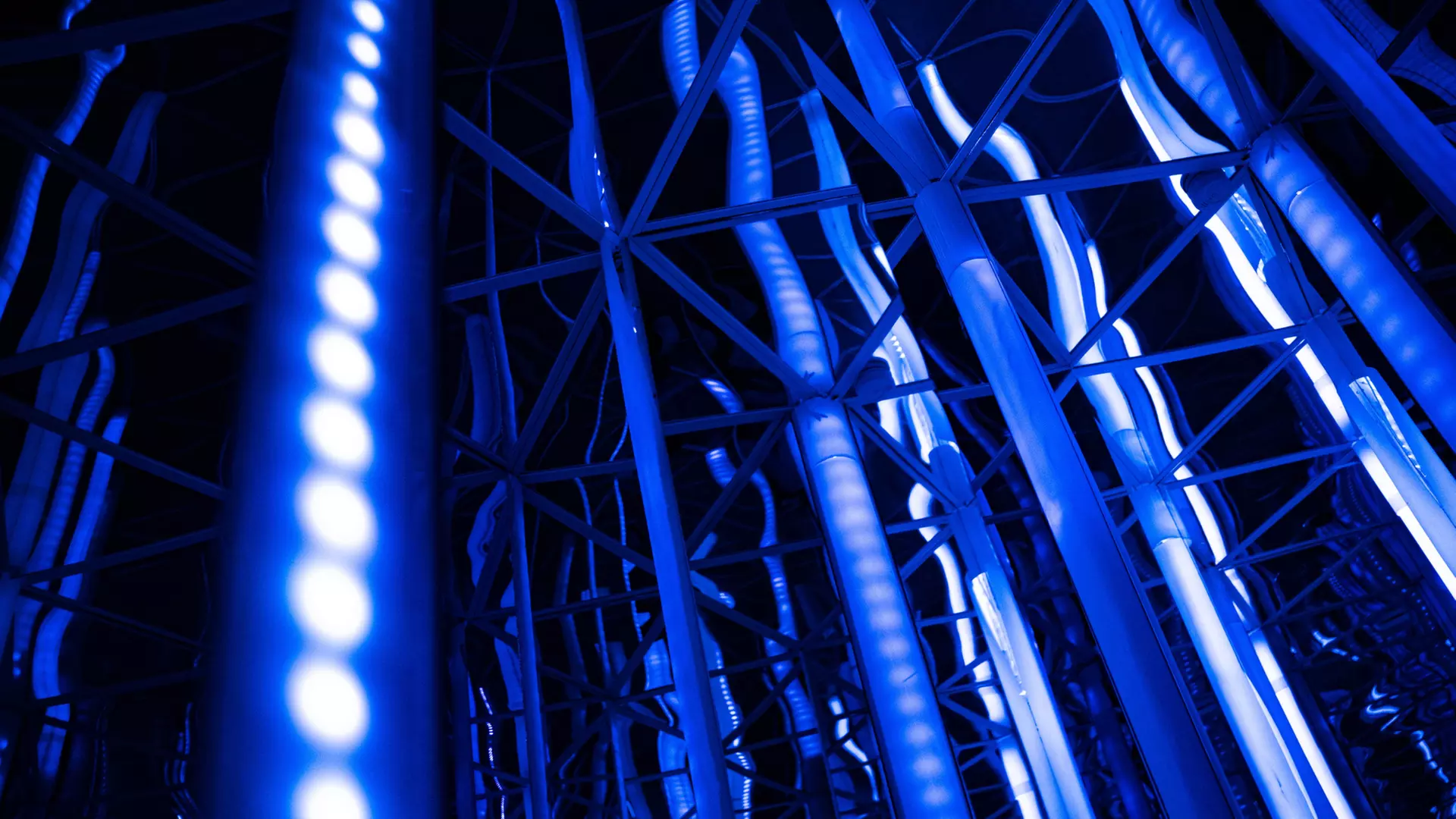 Pakiet atrakcji 3w1 dla nawet 4 osób w House of Attractions