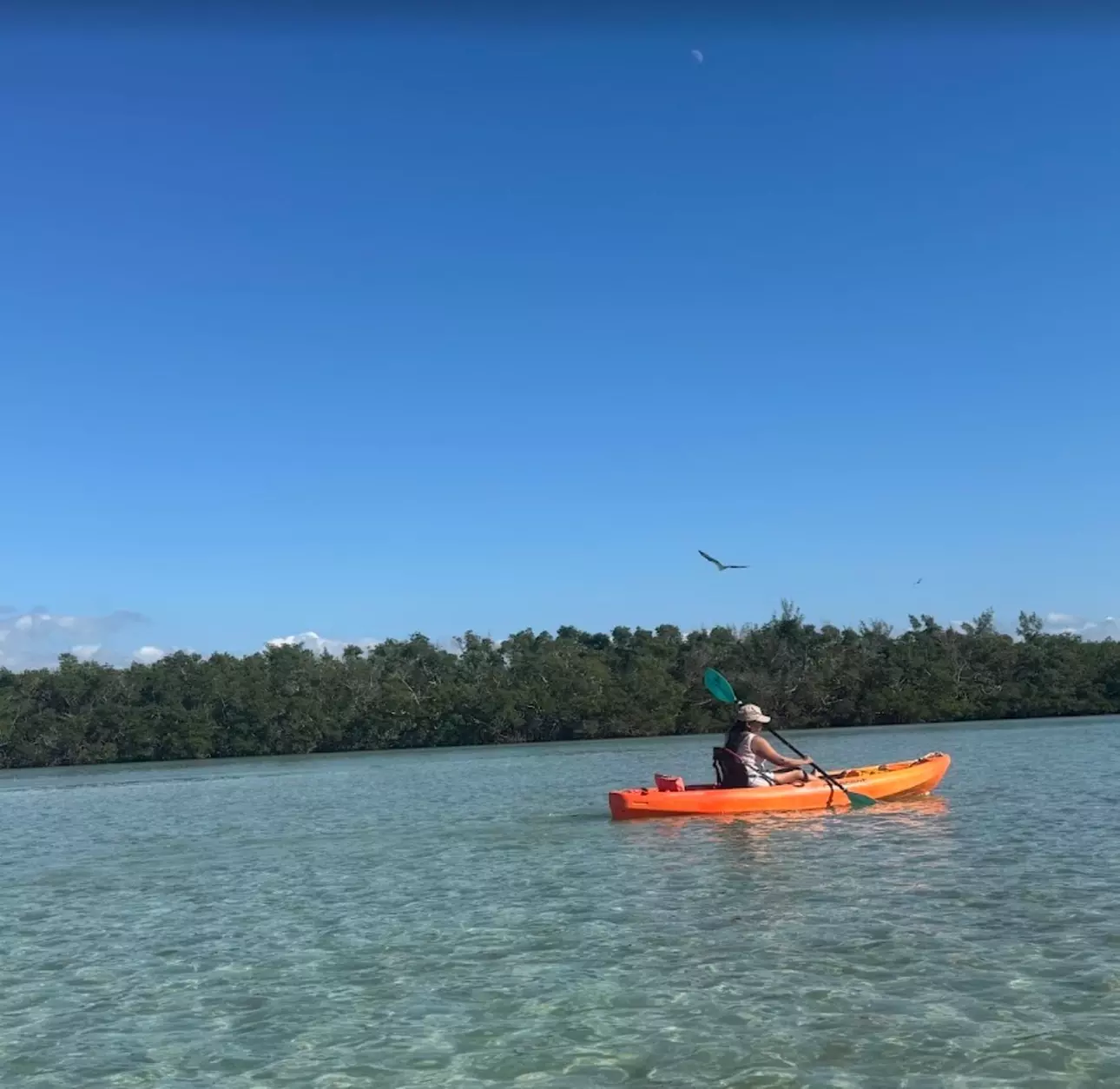 Up to 28% Off on Kayak Rental at Murphs Surf - Kayak Rentals - Siesta Key
