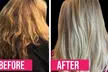 Shann Christen Studio Salon: Consultation & Microscopic Analysis with Vouchers - Treatment Plan (Up to 67% Off) - Second Medium