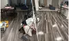 House Cleaning Services – Four or Six Hours with One Cleaner (Up to 24% Off) at Carolina Maid Cleaning Service