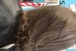 Refresh your Look with Color, Haircut, Shampoo, Conditioner, and more! at JUBEFI BEAUTY STUDIO (Up to 56% Off) - Second Medium