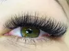 Up to 52% Off on Spa / Salon Beauty Treatments at Lash story