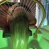 Image 2: Unwind and Relax: Japanese Head Spa Treatment
