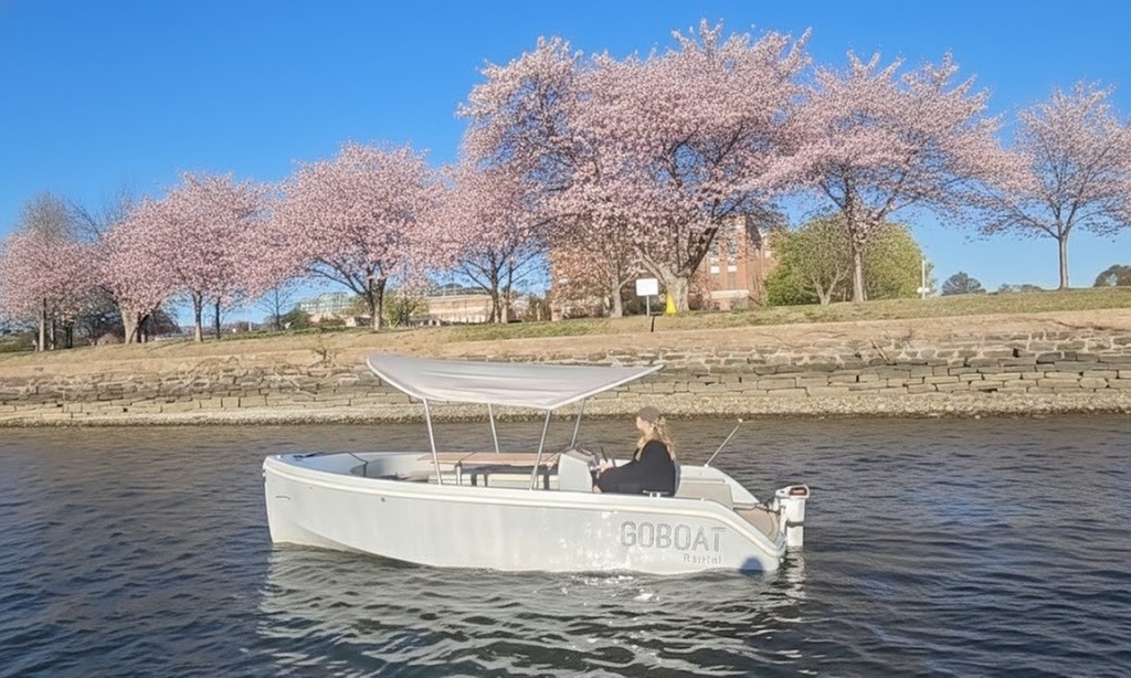 Self-Captained Electric Boat Rental -Cherry Blossom Tour, WashingtonDC