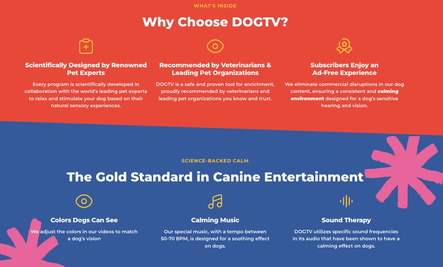 Image 7: Stream DOGTV for a Year or Enjoy a Free Month
