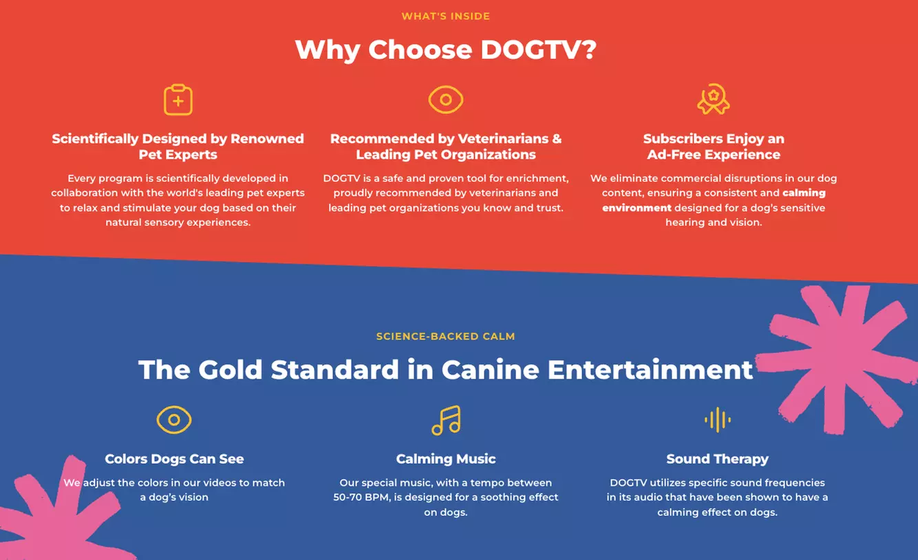 Stream DOGTV for a Year or Enjoy a Free Month