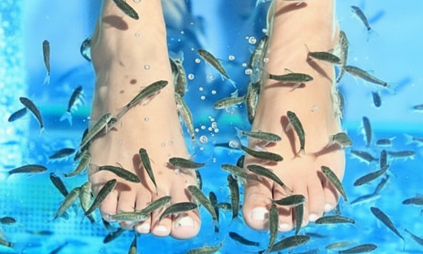 Image 1: Séance de fish spa 