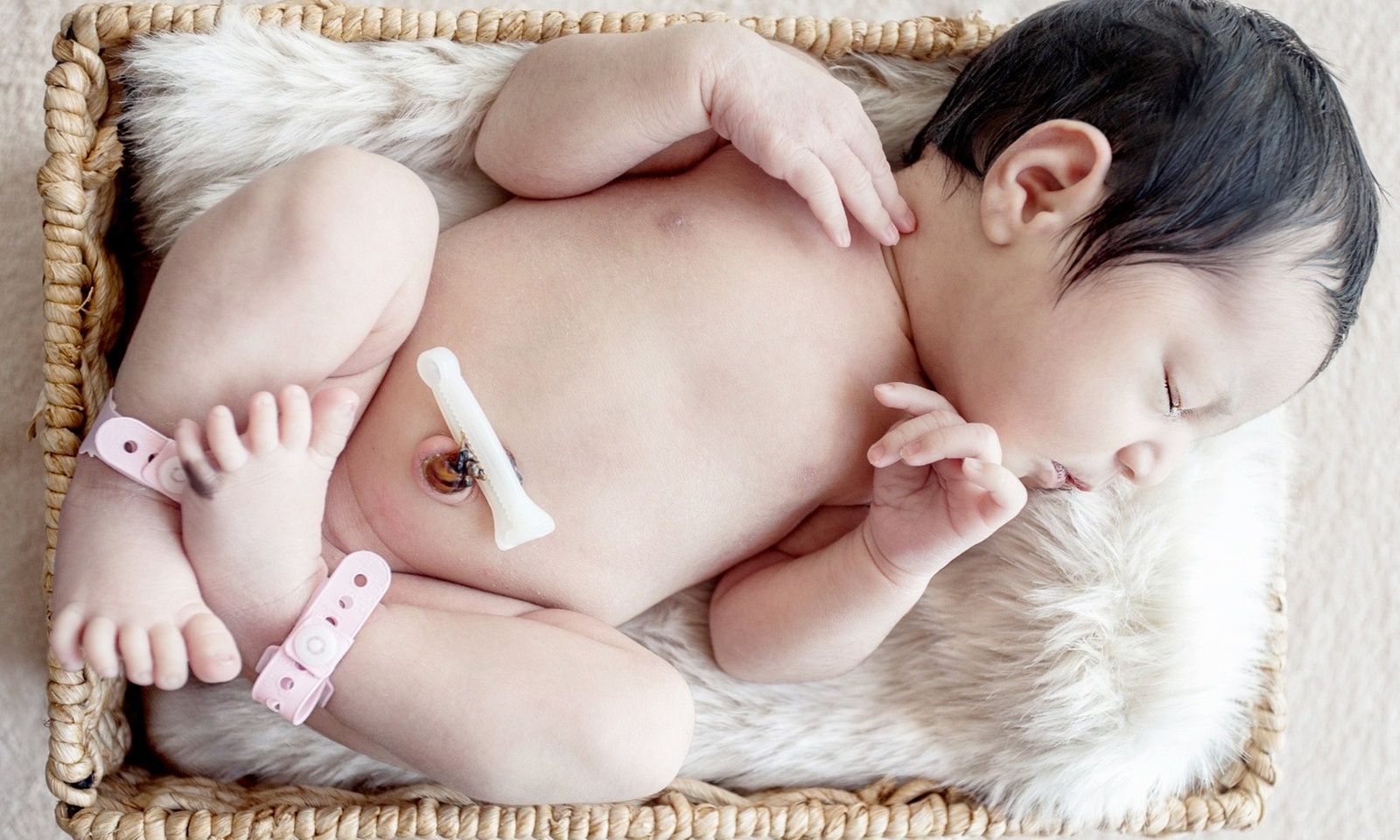 Cherish with Newborn or Baby, Family Photo shoot, Maternity & More