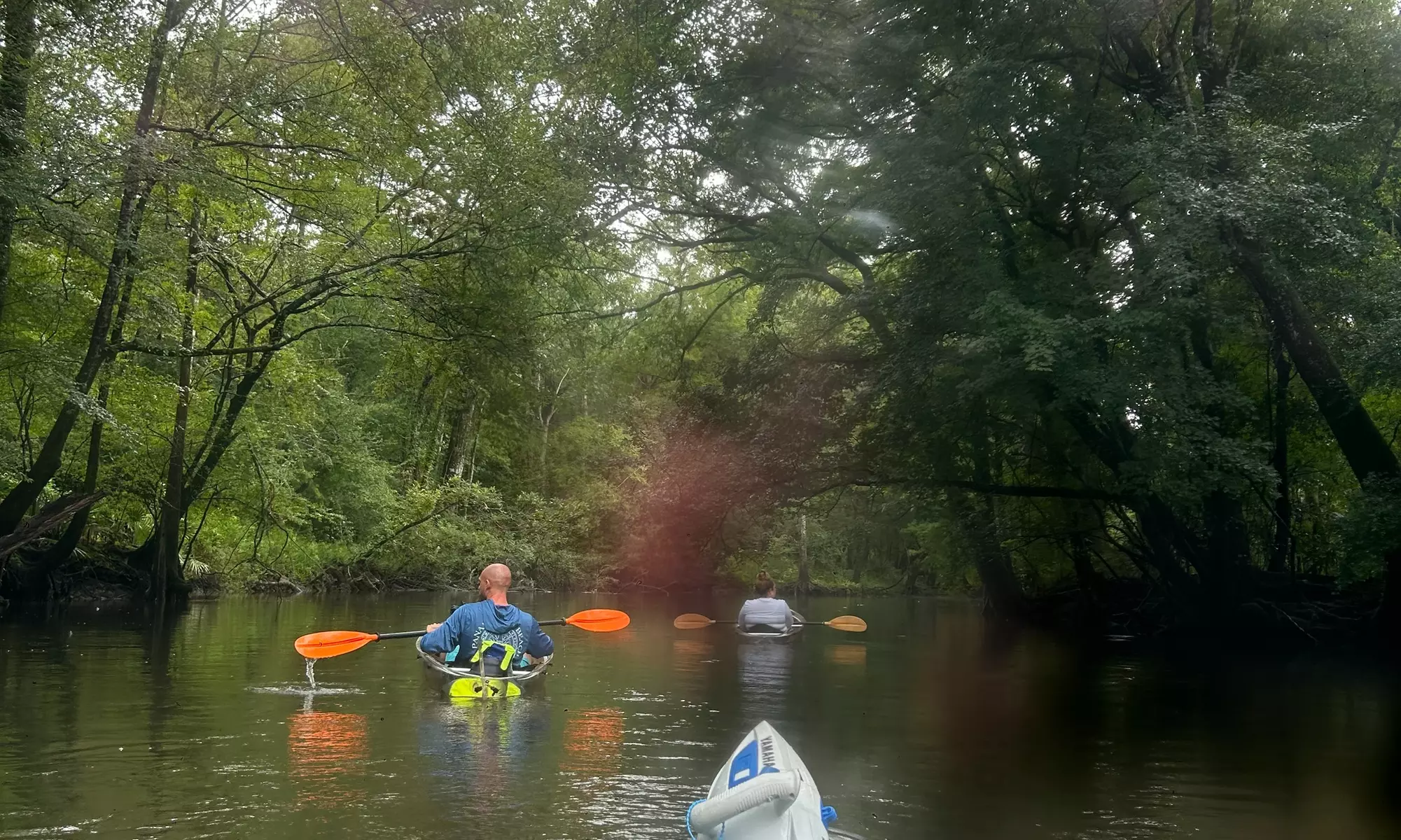 Paddle or Kayak to Breathtaking Cypress Springs, Float, Swim & Nature!