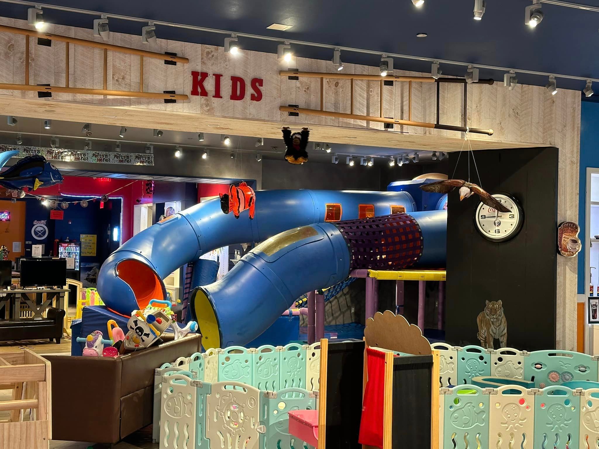 Enjoy 50% Off on Your Second Admission for Indoor Climbing Fun