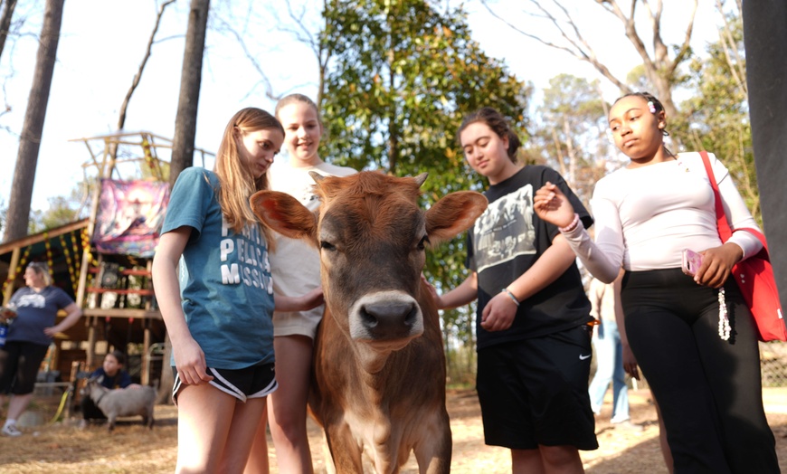 Image 8: Experience Yoga with Goats: Choose from Sessions and Activities