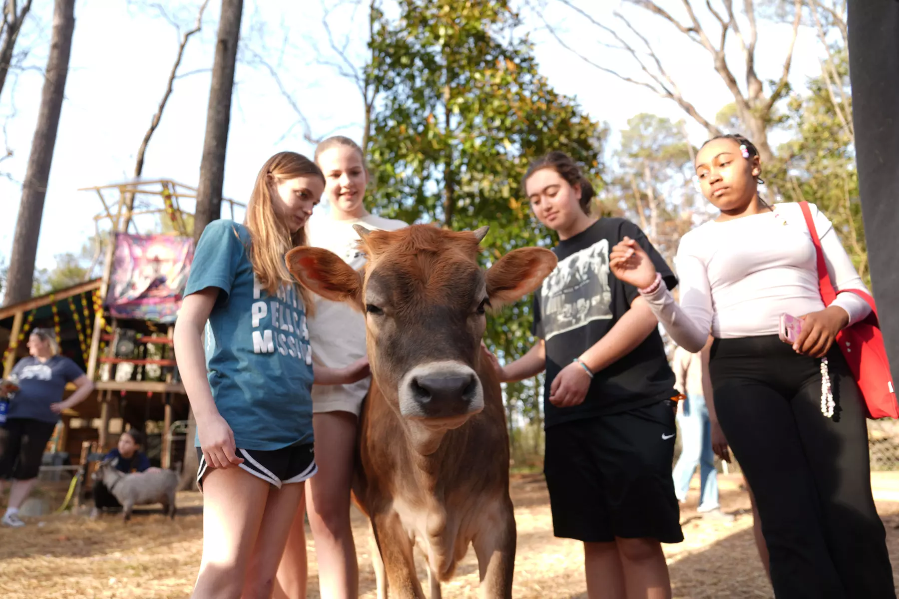 Up to 15% Off on Yoga at GGA Dwarf Goat Yoga