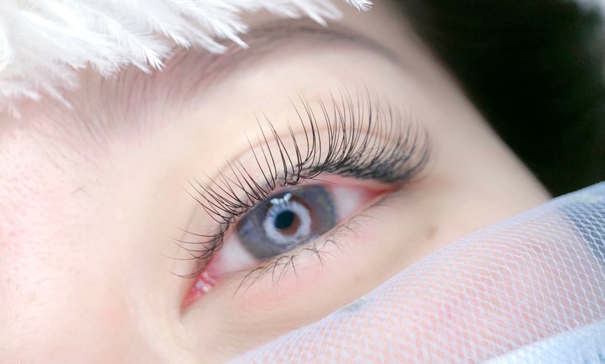 Le Cil eyelash Beauty - Up To 49% Off - Walnut, CA | Groupon