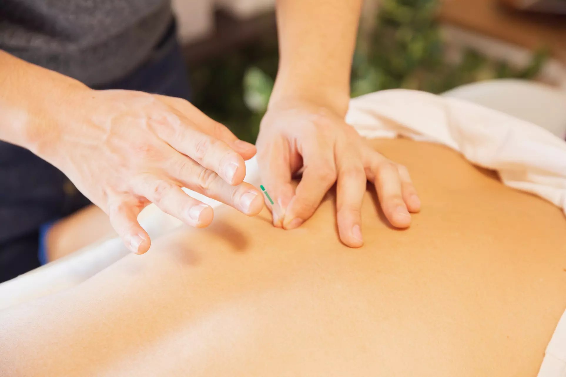 Discover General Balance with Acupuncture at Equilibrium Natural Spa, LLC -  50% Off  - Primary Image