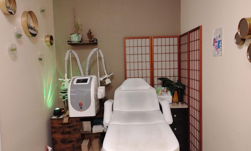 Image 2: Get Fat Freeze Treatment at Functionised Integrative Therapeutics