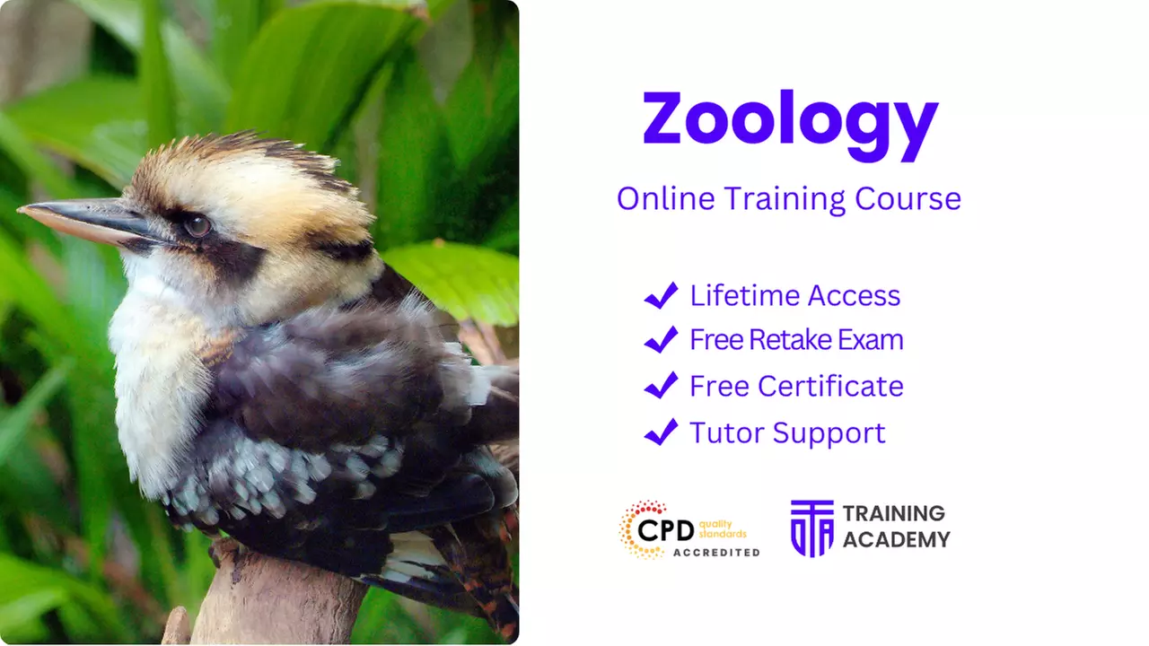 Dive into Zoology Online Course or 2000+ Online Courses at Online Training Academy (Up to 43% Off) - Primary Image