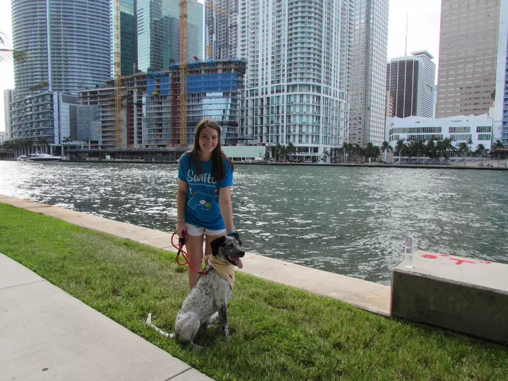 Up to 90% Off on Pet - Sitter / Walking at Swifto Dog Walking - Primary Image