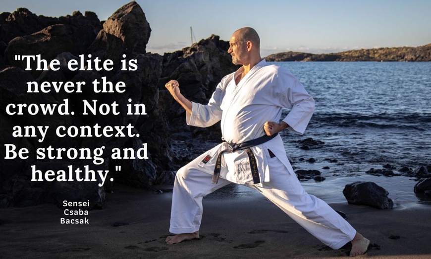 Image 3: Up to 60% Off on Martial Arts / Karate / MMA - Activities