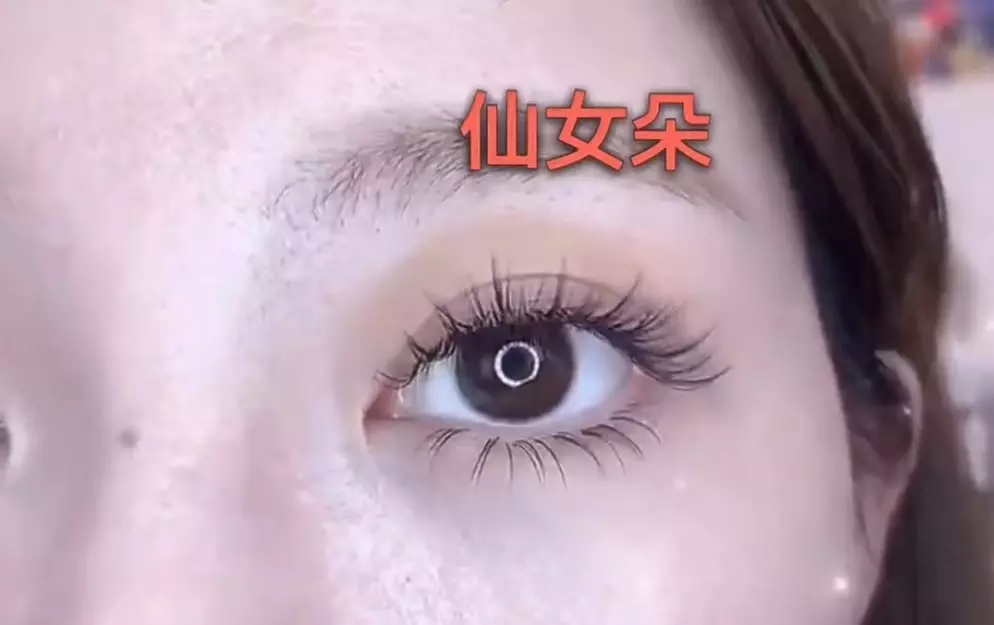 Classic, Hybrid, or Volume Eyelash Extensions Session