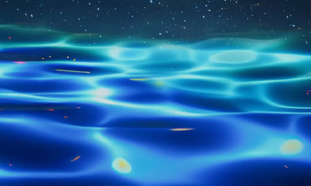 Experience magical bioluminescence on Cocoa Beach tours