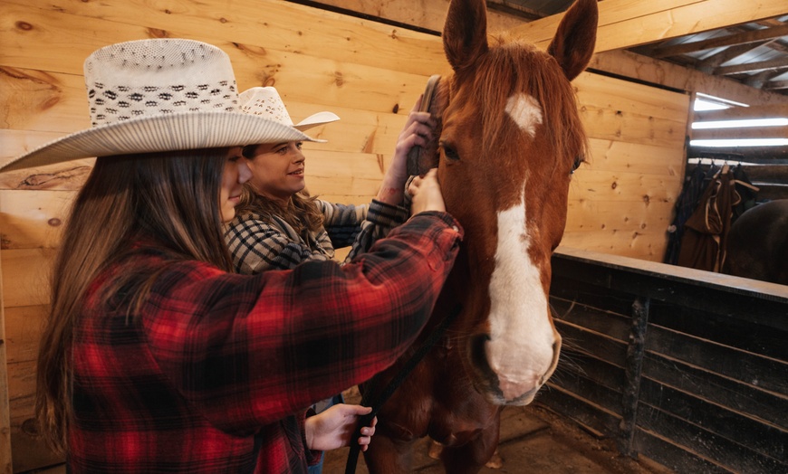 Image 5: Up to 45% Off on One Hour Farm Visit at Humberstone Ranch



